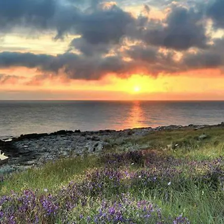 Oda ve Kahvaltı Anxa Gallipoli