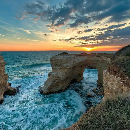 Anxa גאליפולי