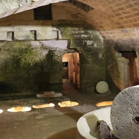 לינה וארוחת בוקר Anxa